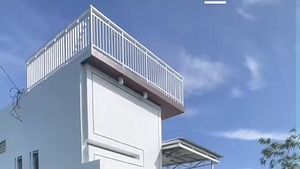 7 Foto Rumah Aesthetic di Tengah Sawah Viral, Tidak Punya Tetangga Julid