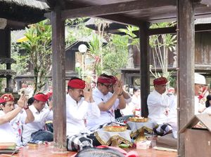 Wujud Rasa Syukur, Bupati Tabanan Rutin Sembahyang Rahina Purnama