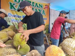 Durian Kalijaya, Si Legit Manis dari Ciamis