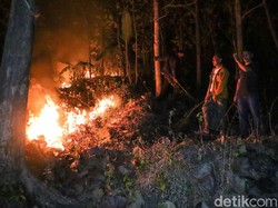 3 Hektare Hutan Jati di Ponorogo Terbakar Diduga karena Puntung Rokok