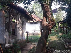 Bak di Film Horor! Begini Kondisi Kampung Mati Vietnam di Jakarta Timur Bak di Film Horor! Begini Kondisi Kampung Mati Vietnam di Jakarta Timur