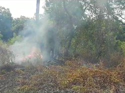 Anomali di Karangasem, Kebakaran Lahan Saat Sebagian Besar Wilayah Hujan