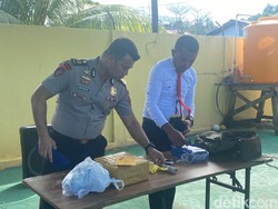 Pemandu Selam di Sorong Kedapatan Bawa 22 Bungkus Ganja Ditangkap