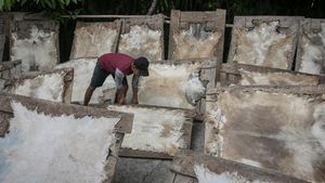 Raup Cuan dari Bisnis Kulit Kambing