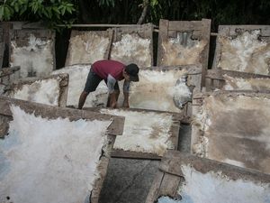 Raup Cuan dari Bisnis Kulit Kambing