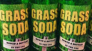 10 Minuman Soda Rasa Aneh yang Pernah Diproduksi, Berani Cicip?