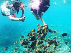 Dinas Kelautan: Sudah Ada Kesadaran Pengusaha Bayar Retribusi Snorkeling Dinas Kelautan: Sudah Ada Kesadaran Pengusaha Bayar Retribusi Snorkeling