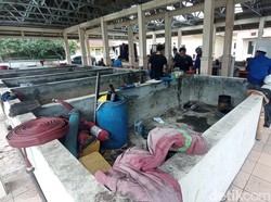 Pilu Damkar Kota Tasik, Buat Sendiri hingga Mulung APD dari Bandung