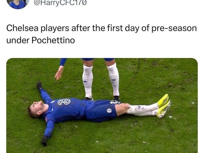 Meme Pochettino