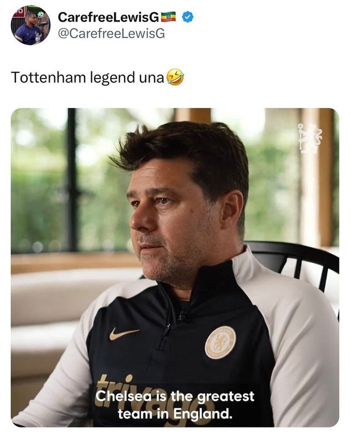 Meme Pochettino