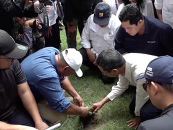 Kejar Waktu, Rumput JIS Bakal Diganti Seperti di Lapangan Golf