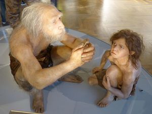7 Perbedaan Neanderthal dan Homo Sapiens, Hampir Serupa tapi Tak Sama 7 Perbedaan Neanderthal dan Homo Sapiens, Hampir Serupa tapi Tak Sama