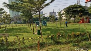 Foto: Tempat Outbond Baru di Simatupang Jaksel, Luasnya 18 Hektar