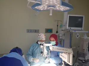 Hebat! Peneliti Unair Temukan Formula Pembuatan Kornea Mata Artifisial Hebat! Peneliti Unair Temukan Formula Pembuatan Kornea Mata Artifisial