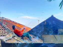 Menegangkan! Petugas BPBD KBB Usir Tawon Bersarang di Rumah Warga