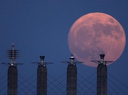 Supermoon 1 Agustus 2023 Jam Berapa? Simak Waktu Pengamatannya