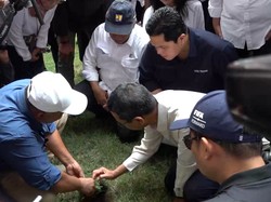 Menteri PUPR: Rumput JIS Tidak Sesuai Standar FIFA