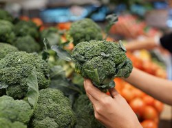 5 Ciri Brokoli Segar dan Renyah Ditandai dari Tampilan Fisik Ini