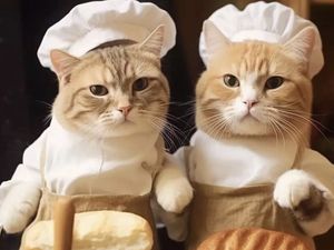 Sejarah Hari Kucing Internasional 8 Agustus dan Makna Peringatannya