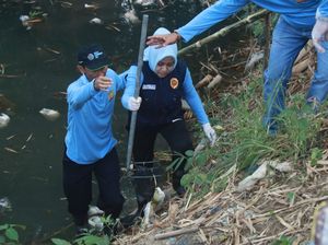 Hari Lingkungan Hidup, Bupati Mojokerto Bersihkan Sungai-Tanam Pohon Hari Lingkungan Hidup, Bupati Mojokerto Bersihkan Sungai-Tanam Pohon