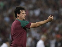 Profil Fernando Diniz, Pelatih Baru Brasil Sebelum Ancelotti Nanti