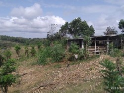 Mari Bantu Warga Desa Tenggarejo di Tulungagung untuk Dapatkan Air Bersih