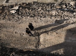 Serangan Pesawat Tak Berawak Israel Tewaskan 3 Warga Palestina