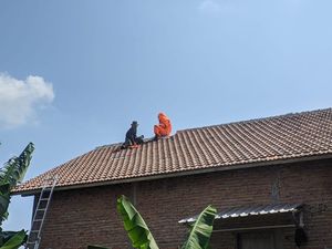 Warga Mijen Kudus Tewas Usai Dikeroyok Tawon Vespa di Atas Genting Warga Mijen Kudus Tewas Usai Dikeroyok Tawon Vespa di Atas Genting