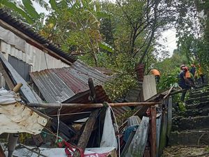 Rumah Warga di Parepare Roboh Tertimpa Pohon, Pemprov Sulsel Beri Bantuan