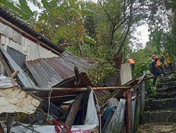 Rumah Warga di Parepare Roboh Tertimpa Pohon, Pemprov Sulsel Beri Bantuan