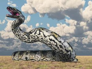 7 Hal Tentang Titan Boa, Ular Terbesar yang Pernah Ditemukan 7 Hal Tentang Titan Boa, Ular Terbesar yang Pernah Ditemukan