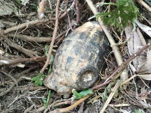 Warga Banten Cari Ikan di Sungai Terhalang Batu, Diangkat Ternyata Granat Warga Banten Cari Ikan di Sungai Terhalang Batu, Diangkat Ternyata Granat
