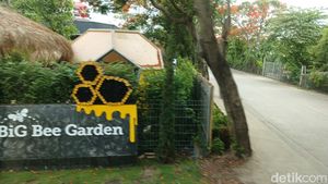 Foto: Belajar tentang Lebah dan Madu di Big Bee Farm Thailand