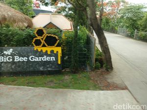 Foto: Belajar tentang Lebah dan Madu di Big Bee Farm Thailand Foto: Belajar tentang Lebah dan Madu di Big Bee Farm Thailand