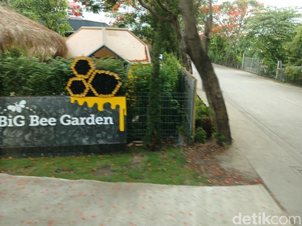 Foto: Belajar tentang Lebah dan Madu di Big Bee Farm Thailand