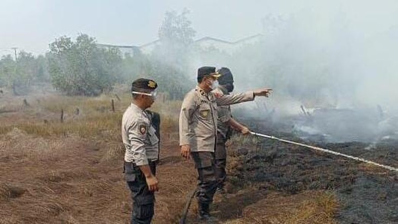 Niat Buka Lahan dengan Cara Dibakar, Lansia di Banjarbaru Malah Ditangkap