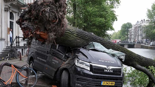 Mobil-mobil Ini Jadi Korban Pohon Tumbang di Amsterdam