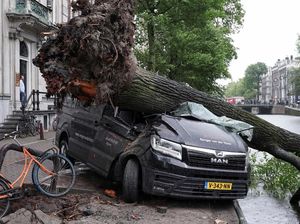 Mobil-mobil Ini Jadi Korban Pohon Tumbang di Amsterdam