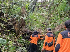 Hujan Angin Akibatkan Pohon Tumbang hingga Longsor di Klungkung Hujan Angin Akibatkan Pohon Tumbang hingga Longsor di Klungkung