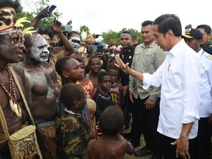 Jokowi: Food Estate Keroom Hasilkan 7 Ton Jagung per Ha, Petani Untung Rp 42 Juta Jokowi: Food Estate Keroom Hasilkan 7 Ton Jagung per Ha, Petani Untung Rp 42 Juta