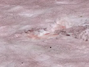 Ada Fenomena Salju Pink di Pegunungan Ini, Berbahayakah? Ada Fenomena Salju Pink di Pegunungan Ini, Berbahayakah?
