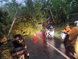 Hujan Deras di Klungkung, Pohon-Tiang Listrik Bertumbangan