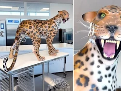 Keren! Chef Ini Berhasil Bikin Cokelat Macan Tutul