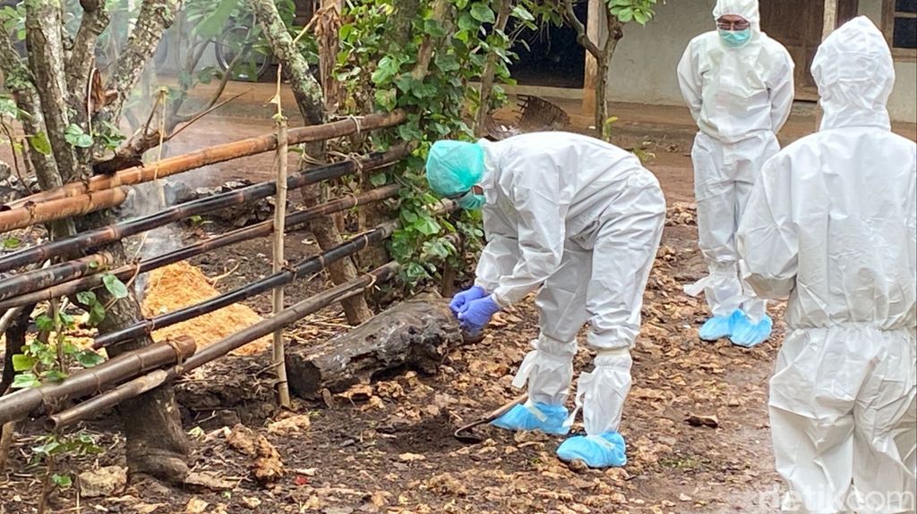 Kasus wabah antraks di Gunungkidul memakan sejumlah korban jiwa dan puluhan warga lainnya teridentifikasi suspek. Simak pengertian dan cara pencegahan antraks!