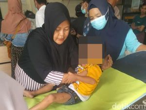 Monyet Serang Permukiman Warga Bangkalan, Anak Tergigit Disuntik Antirabies