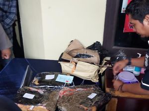 Ambil Paket 3 Kg Ganja di Kantor Ekspedisi, ABG Perempuan di Depok Ditangkap