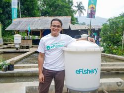 eFishery PHK Karyawan