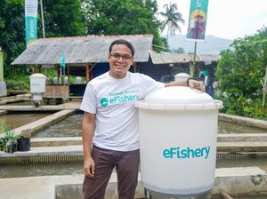 Startup Asal Bandung eFishery Raup Pendanaan Seri D Rp 3 Triliun