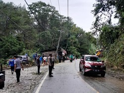 Pohon Tumbang Timpa Tiang PLN di Kolaka Timur, Listrik 5 Kecamatan Padam