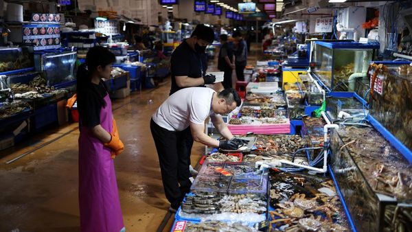 Makanan Laut di Pasar Ikan Korsel Dicek, Waspada Radiasi